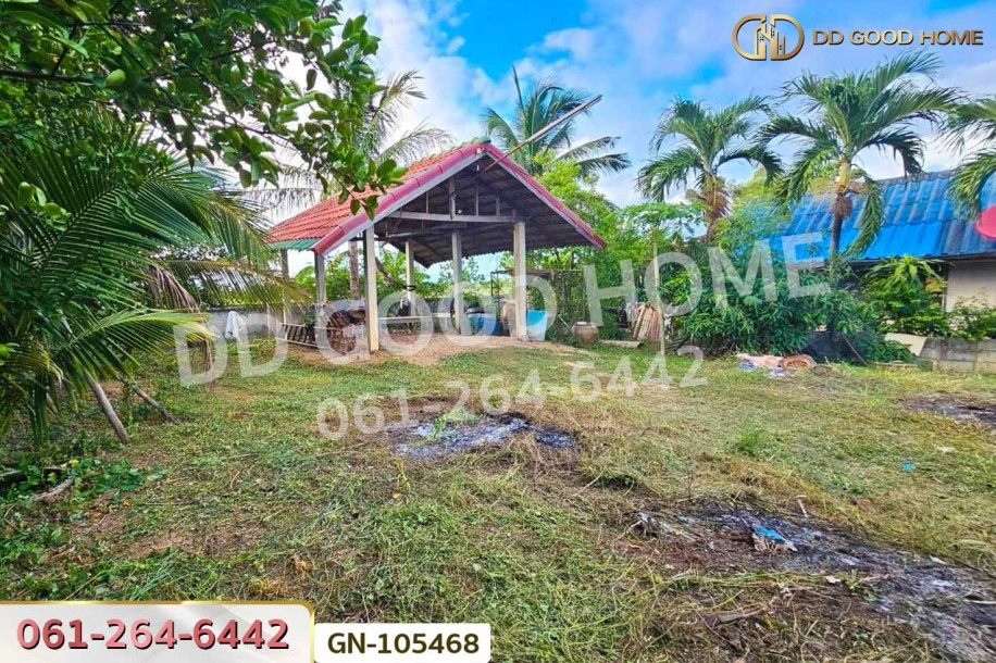 ที่ดินเมืองชัยภูมิ 158 ตร.ว. ชัยภูมิ ใกล้โรงพยาบาลส่งเสริมสุขภาพตำบลบุ่งคล้า-8