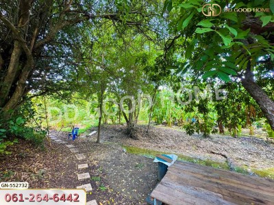 ที่ดิน ต.บางไผ่ 3 งาน นนทบุรี.