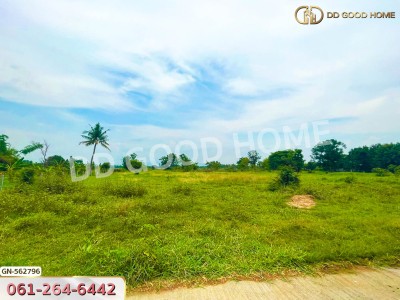 ที่ดิน อ.เมืองชัยภูมิ 40 ตร.ว. ชัยภูมิ-3