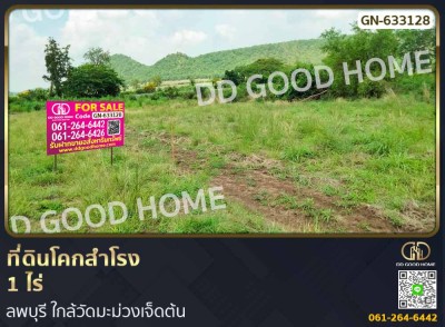 ที่ดินโคกสำโรง 1 ไร่ ลพบุรี ใกล้วัดมะม่วงเจ็ดต้น-1