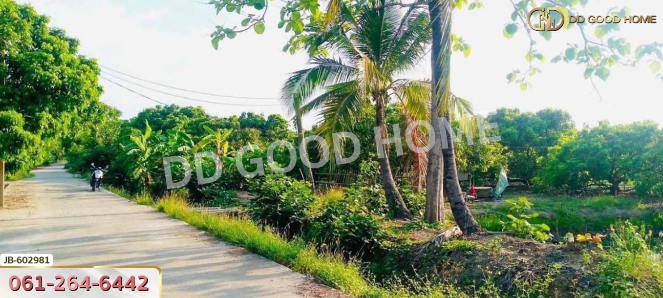 ที่ดิน อ.สันป่าตอง 2 ไร่ 338 ตร.ว. เชียงใหม่-2