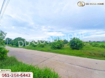 ที่ดิน อ.บางใหญ่ 10 ไร่ 350 ตร.ว. นนทบุรี-5