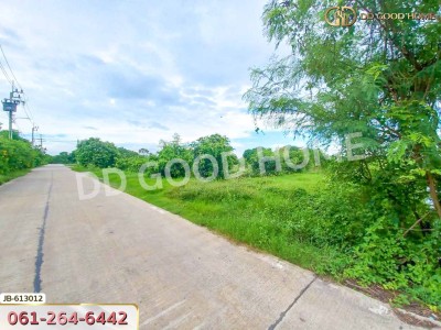 ที่ดิน อ.บางใหญ่ 10 ไร่ 350 ตร.ว. นนทบุรี-4