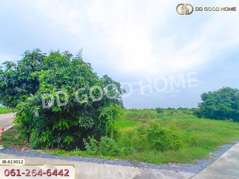 ที่ดิน อ.บางใหญ่ 10 ไร่ 350 ตร.ว. นนทบุรี-3