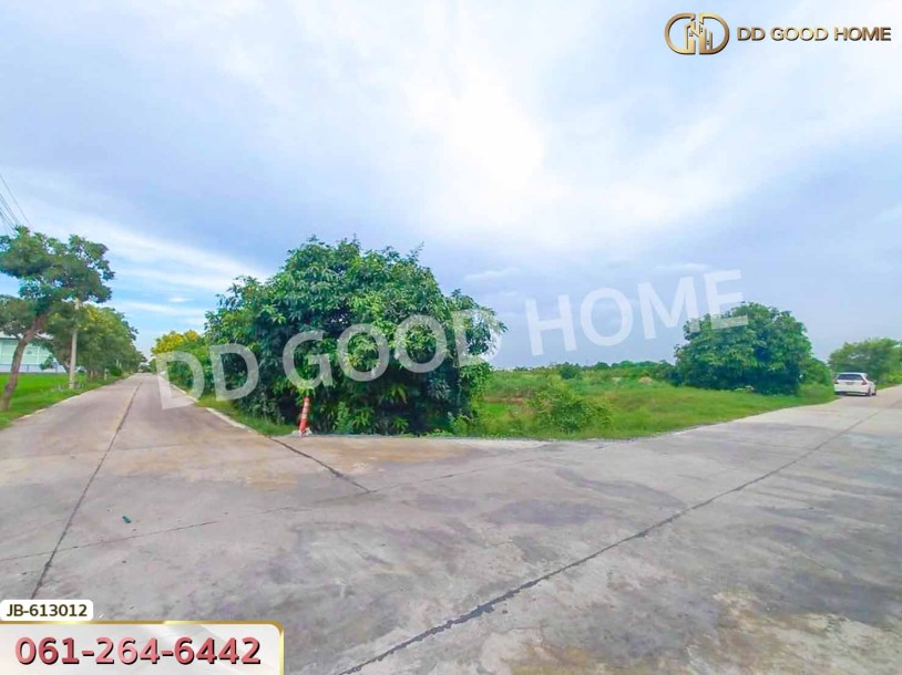 ที่ดิน อ.บางใหญ่ 10 ไร่ 350 ตร.ว. นนทบุรี-2
