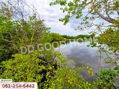 ที่ดิน บางขุนเทียน 2 ไร่ 32.3 ตร.ว.-4