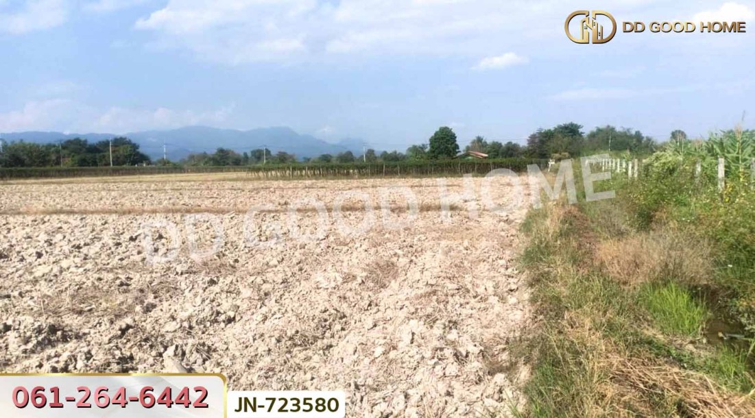 ที่ดินแม่จัน 8 ไร่ 129.7 ตร.ว. เชียงราย ใกล้ไร่ชาฉุยฟง-6