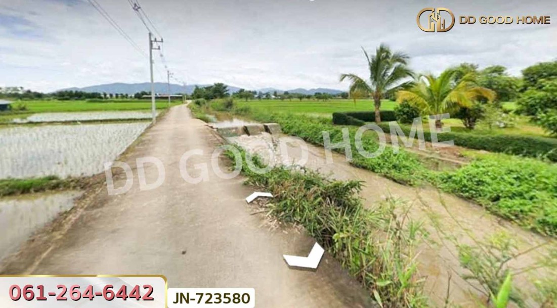 ที่ดินแม่จัน 8 ไร่ 129.7 ตร.ว. เชียงราย ใกล้ไร่ชาฉุยฟง-5