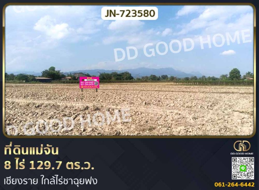 ที่ดินแม่จัน 8 ไร่ 129.7 ตร.ว. เชียงราย ใกล้ไร่ชาฉุยฟง-1