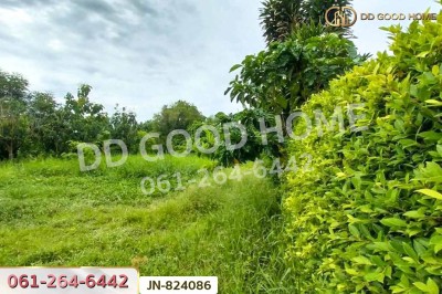 ที่ดินหนองแขม 124 ตร.ว. ซ.เพชรเกษม 79 แยก 9 ใกล้เดอะมอลล์ บางแค.