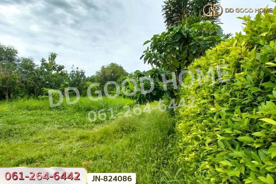ที่ดินหนองแขม 124 ตร.ว. ซ.เพชรเกษม 79 แยก 9 ใกล้เดอะมอลล์ บางแค.-6