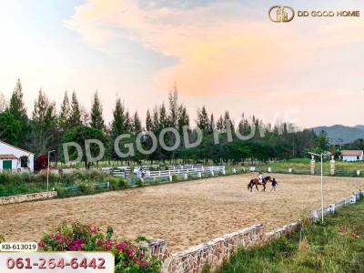 ที่ดิน โครงการมิร่าเซียร่า เขาใหญ่ 2 ไร่ 74 ตร.ว. นครราชสีมา-7