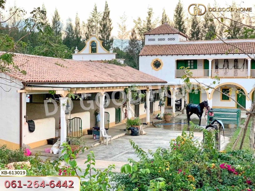 ที่ดิน โครงการมิร่าเซียร่า เขาใหญ่ 2 ไร่ 74 ตร.ว. นครราชสีมา-5