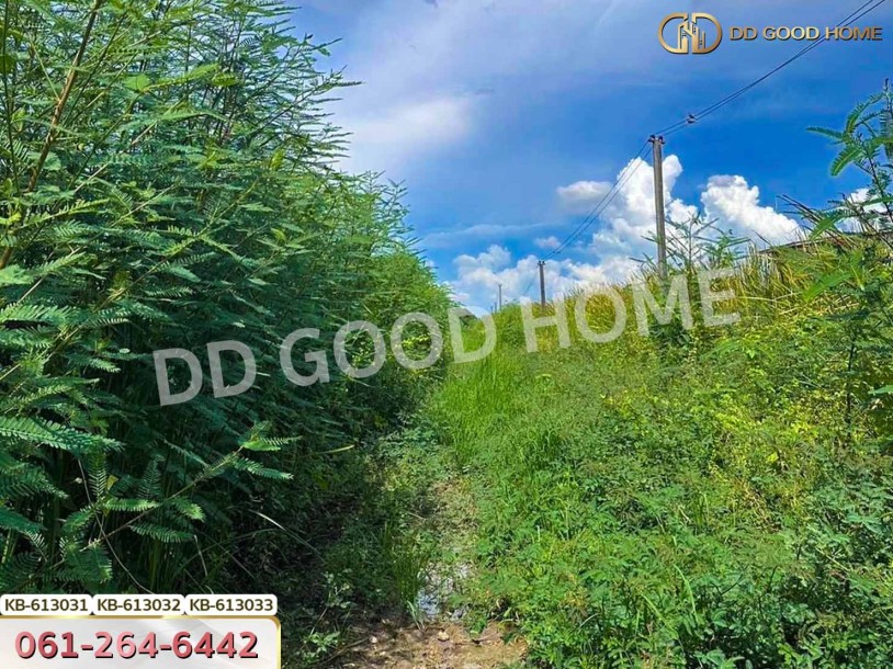 ที่ดิน เขต แสนแสบ 364 ตร.ว. กรุงเทพฯ-4