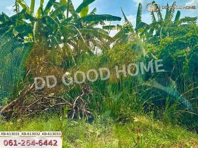 ที่ดิน เขต แสนแสบ 364 ตร.ว. กรุงเทพฯ-3