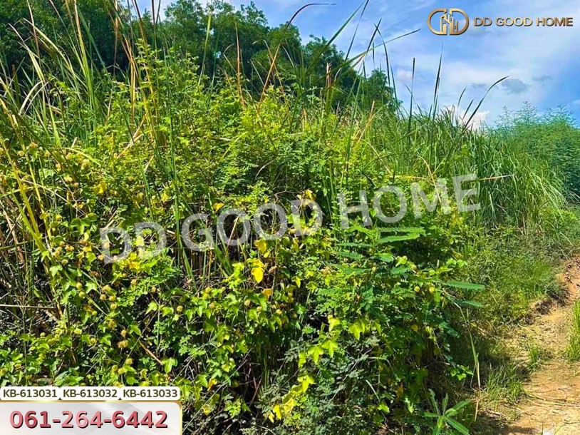 ที่ดิน เขต แสนแสบ 364 ตร.ว. กรุงเทพฯ-2