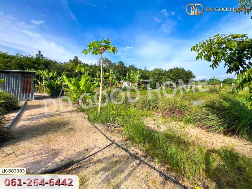 ที่ดินบ้านค่าย 2 ไร่ 24.6 ตร.ว. ระยอง ใกล้ ที่ว่าการอำเภอบ้านค่าย-2