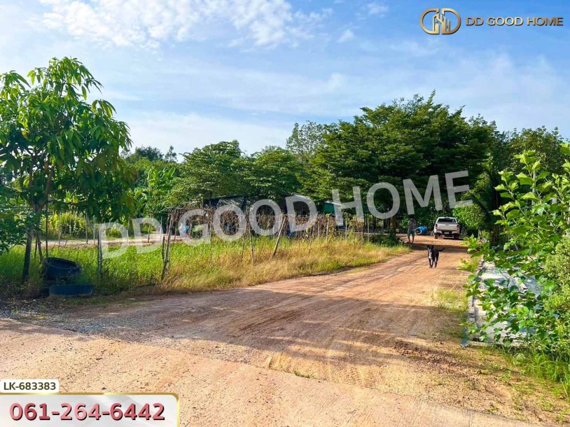 ที่ดินบ้านค่าย 2 ไร่ 24.6 ตร.ว. ระยอง ใกล้ ที่ว่าการอำเภอบ้านค่าย-10