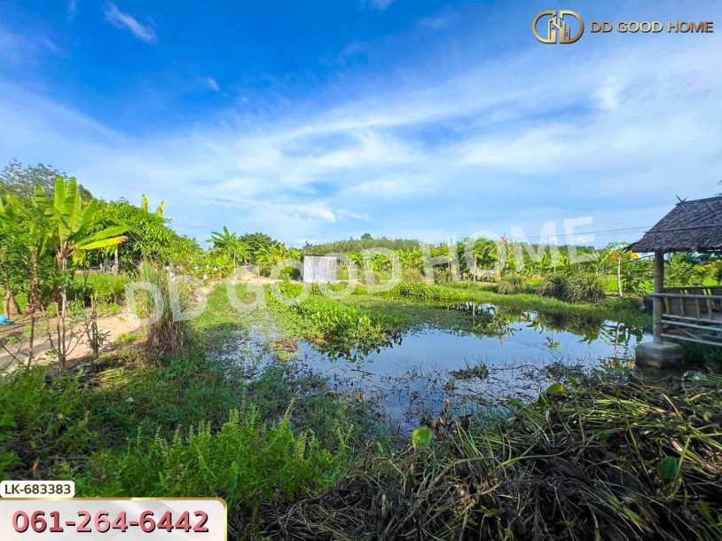 ที่ดินบ้านค่าย 2 ไร่ 24.6 ตร.ว. ระยอง ใกล้ ที่ว่าการอำเภอบ้านค่าย-6