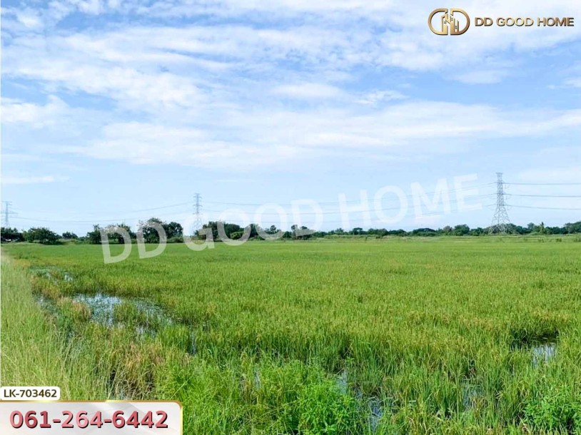 ที่ดินกำแพงแสน 5 ไร่ 38 ตร.ว. นครปฐม ใกล้วัดวังน้ำเขียว-9