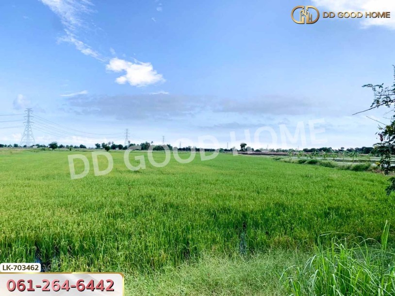 ที่ดินกำแพงแสน 5 ไร่ 38 ตร.ว. นครปฐม ใกล้วัดวังน้ำเขียว-8