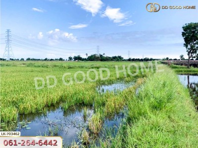ที่ดินกำแพงแสน 5 ไร่ 38 ตร.ว. นครปฐม ใกล้วัดวังน้ำเขียว-7