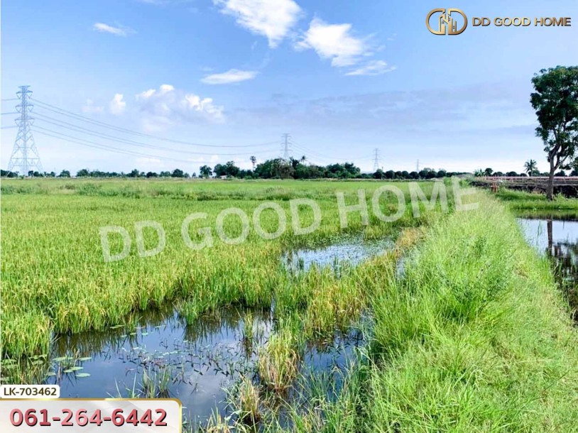 ที่ดินกำแพงแสน 5 ไร่ 38 ตร.ว. นครปฐม ใกล้วัดวังน้ำเขียว-7