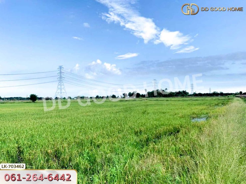 ที่ดินกำแพงแสน 5 ไร่ 38 ตร.ว. นครปฐม ใกล้วัดวังน้ำเขียว-6