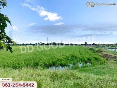 ที่ดินกำแพงแสน 5 ไร่ 38 ตร.ว. นครปฐม ใกล้วัดวังน้ำเขียว-5