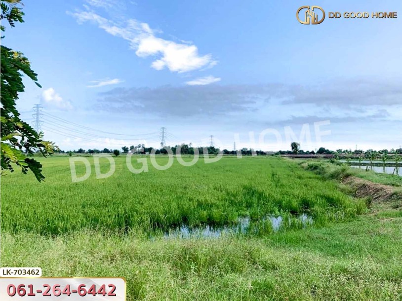 ที่ดินกำแพงแสน 5 ไร่ 38 ตร.ว. นครปฐม ใกล้วัดวังน้ำเขียว-5