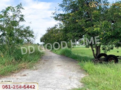 ที่ดินกำแพงแสน 5 ไร่ 38 ตร.ว. นครปฐม ใกล้วัดวังน้ำเขียว-4
