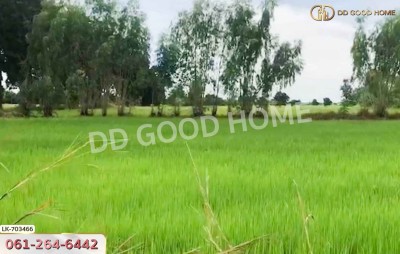 ที่ดินหนองบัว 25 ไร่ 77 ตร.ว. นครสวรรค์ ใกล้วัดหนองโบสถ์-7