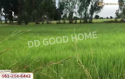 ที่ดินหนองบัว 25 ไร่ 77 ตร.ว. นครสวรรค์ ใกล้วัดหนองโบสถ์-6