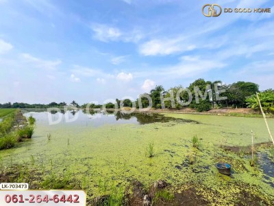 ที่ดินบางเลน 4 ไร่ 325.5 ตร.ว. นครปฐม ใกล้โรงเรียนหนองปรง