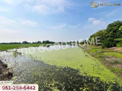 ที่ดินบางเลน 4 ไร่ 325.5 ตร.ว. นครปฐม ใกล้โรงเรียนหนองปรง