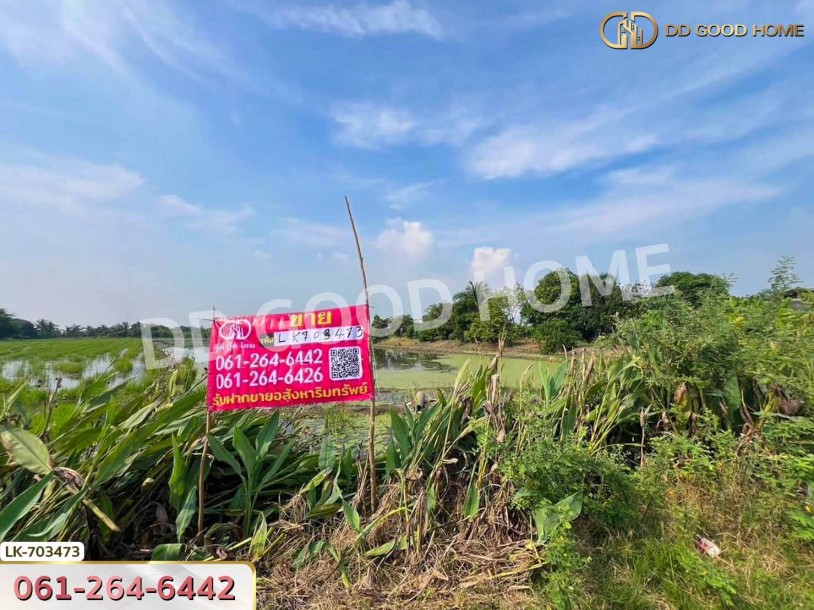 ที่ดินบางเลน 4 ไร่ 325.5 ตร.ว. นครปฐม ใกล้โรงเรียนหนองปรง-6