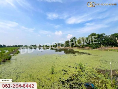 ที่ดินบางเลน 4 ไร่ 325.5 ตร.ว. นครปฐม ใกล้โรงเรียนหนองปรง