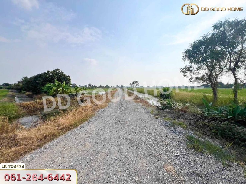 ที่ดินบางเลน 4 ไร่ 325.5 ตร.ว. นครปฐม ใกล้โรงเรียนหนองปรง-4
