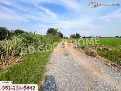 ที่ดินบางเลน 4 ไร่ 325.5 ตร.ว. นครปฐม ใกล้โรงเรียนหนองปรง