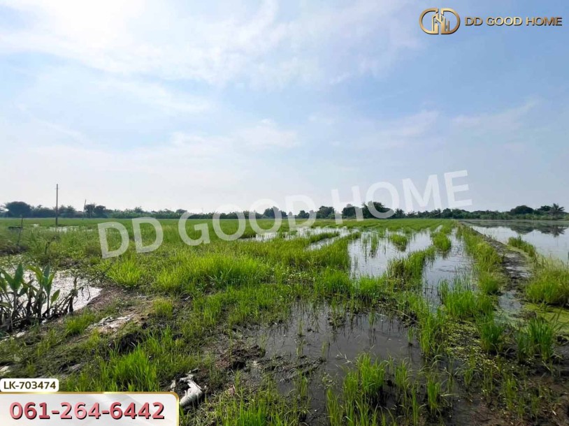 ที่ดินบางเลน 4 ไร่ 325.5 ตร.ว. นครปฐม ใกล้โรงเรียนหนองปรง-8