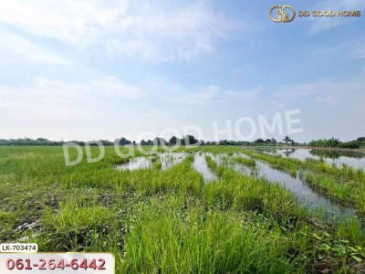 ที่ดินบางเลน 4 ไร่ 325.5 ตร.ว. นครปฐม ใกล้โรงเรียนหนองปรง-6