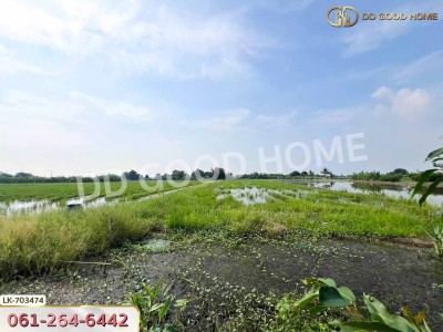ที่ดินบางเลน 4 ไร่ 325.5 ตร.ว. นครปฐม ใกล้โรงเรียนหนองปรง-5