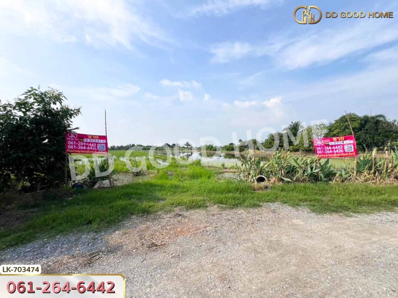 ที่ดินบางเลน 4 ไร่ 325.5 ตร.ว. นครปฐม ใกล้โรงเรียนหนองปรง-4