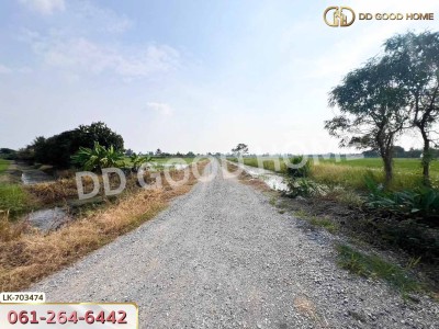 ที่ดินบางเลน 4 ไร่ 325.5 ตร.ว. นครปฐม ใกล้โรงเรียนหนองปรง-3