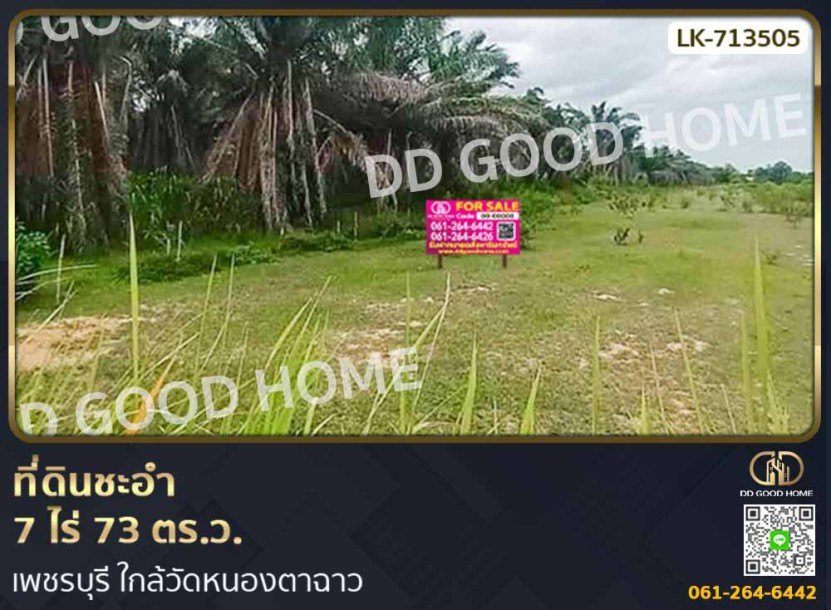 ที่ดินชะอำ 7 ไร่ 73 ตร.ว. เพชรบุรี ใกล้วัดหนองตาฉาว-1