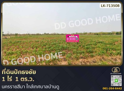 ที่ดินปักธงชัย 1 ไร่  1 ตร.ว. นครราชสีมา ใกล้เทศบาลบ้านดู-1