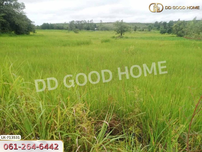 ที่ดินธาตุพนม 6 ไร่ 381.4 ตร.ว. นครพนม ใกล้โรงเรียนอุ่มเหม้า วิทยาคาร-6