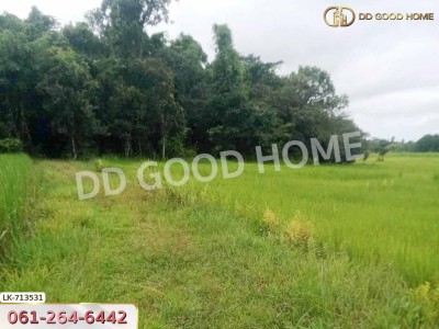 ที่ดินธาตุพนม 6 ไร่ 381.4 ตร.ว. นครพนม ใกล้โรงเรียนอุ่มเหม้า วิทยาคาร-5