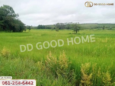 ที่ดินธาตุพนม 6 ไร่ 381.4 ตร.ว. นครพนม ใกล้โรงเรียนอุ่มเหม้า วิทยาคาร-4