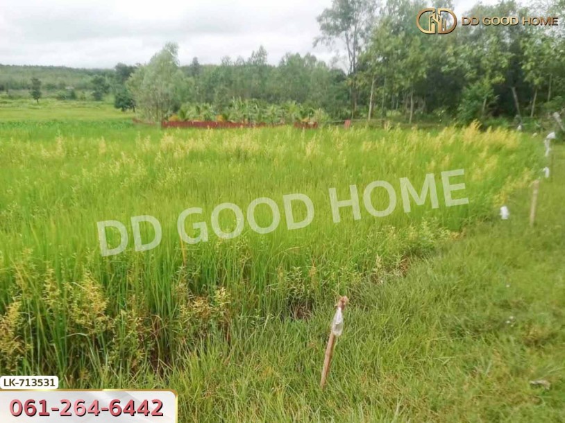 ที่ดินธาตุพนม 6 ไร่ 381.4 ตร.ว. นครพนม ใกล้โรงเรียนอุ่มเหม้า วิทยาคาร-3